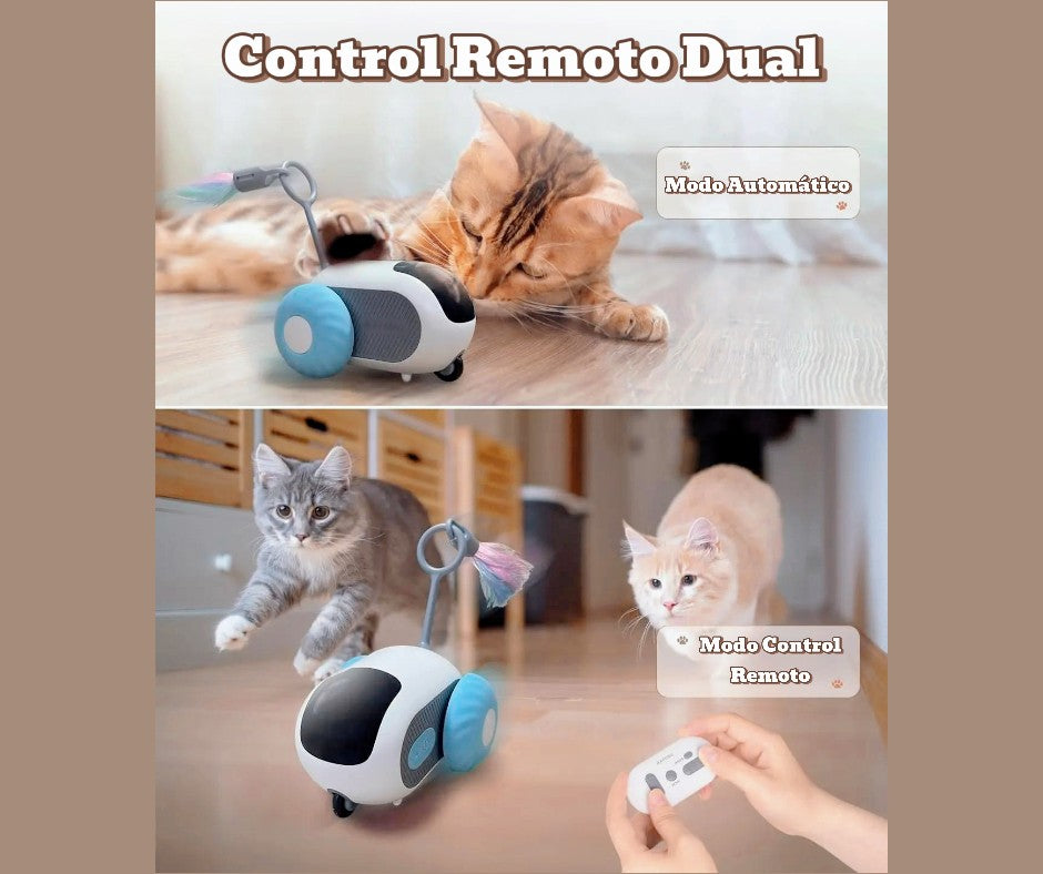 Ratón a control para gatos